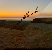 Lessismore Farm Afternoon Farmer - Hotel WA