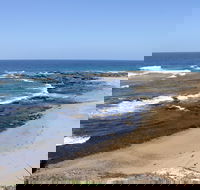 Little Shelley - Hotel WA