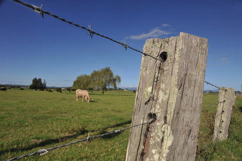 Macleay Valley Coast – Bellbrook Scenic Drive - Hotel WA 1