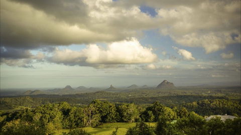 Mary Cairncross Scenic Reserve Rainforest Walk - Hotel WA 0