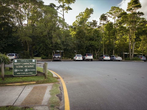 Mary Cairncross Scenic Reserve Rainforest Walk - Hotel WA 1
