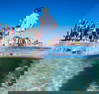 Monkey Mia - Hotel WA