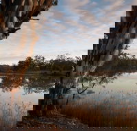 Murray-Kulkyne Regional Park - Hotel WA