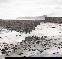 Mushroom Reef Beach - Hotel WA
