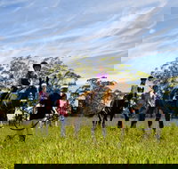 Port Macquarie Horse Riding Centre - Hotel WA