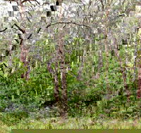 Scutts Hut Trail - Hotel WA