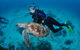 Second Reef Dive Site - thumb 0