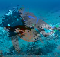 Second Reef Dive Site - Hotel WA