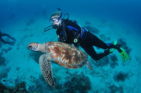 Second Reef Dive Site - Hotel WA 0