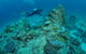 Second Reef Dive Site - thumb 1