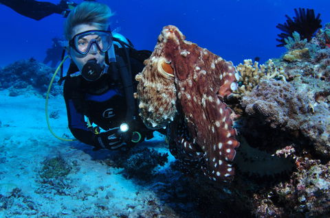 Second Reef Dive Site - Hotel WA 2