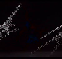 Sydney Dance Company - Hotel WA