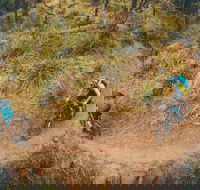 Trevallyn Dam - Hotel WA