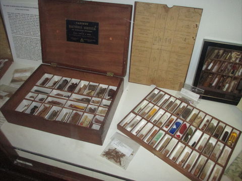 UQ Marks-Hirschfeld Museum Of Medical History - Hotel WA 0