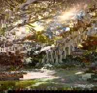 Wendy Whiteley's Secret Garden - Hotel WA