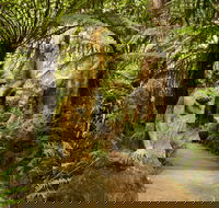 William Ricketts Sanctuary - Hotel WA