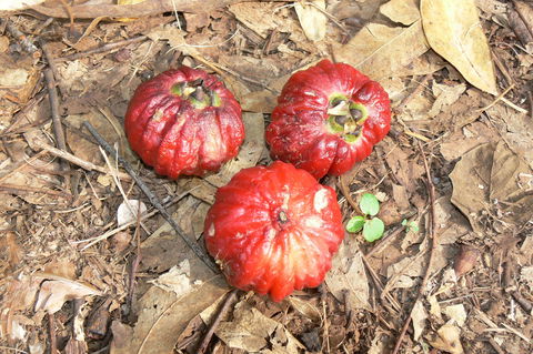 Window On The Wetlands - Hotel WA 1