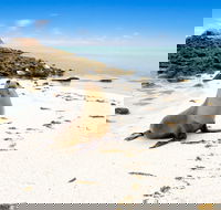 Abrolhos Islands - Hotel WA