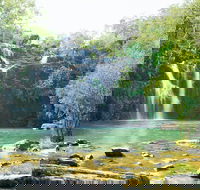 Airlie Beach to Cedar Creek Falls - Hotel WA