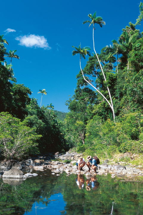 Airlie Beach To Cedar Creek Falls - Hotel WA 1