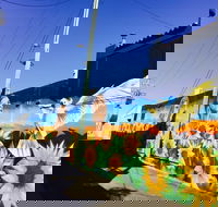 Art Trails in the Moree Plains - Hotel WA