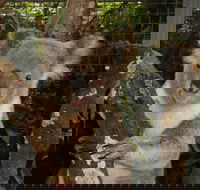 Birdland Animal Park - Hotel WA