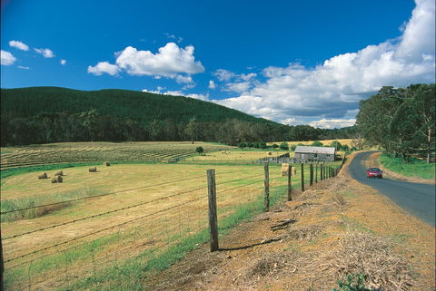 Blackwood River Tourist Drive - Hotel WA 0
