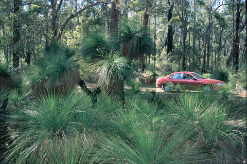 Blackwood River Tourist Drive - Hotel WA 2