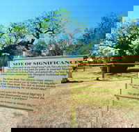 Boab Prison Tree - Hotel WA