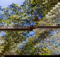 Bribie Island Bicentennial Trails - Hotel WA