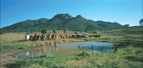 Bundaberg- Biggenden- Mount Perry Circle - Hotel WA 0