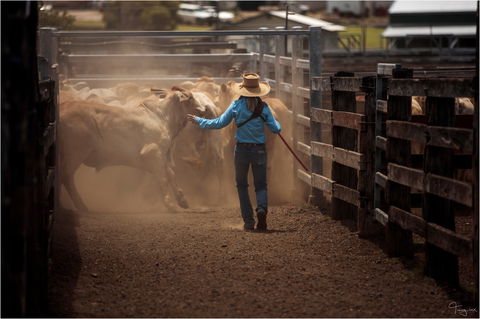 Bundaberg- Biggenden- Mount Perry Circle - Hotel WA 1