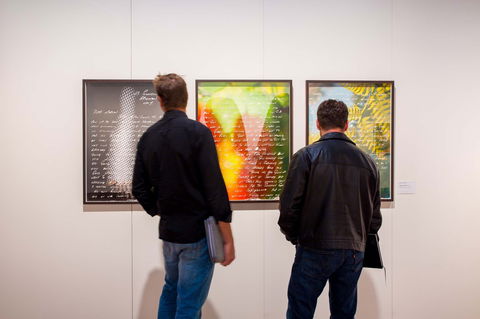 Caboolture Regional Art Gallery - Hotel WA 0