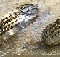 Eclectopia Gifts and Specialty Homewares - Hotel WA