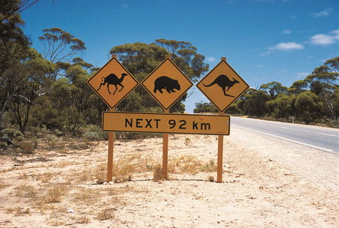 Eyre Highway - Hotel WA 1