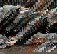 Geckostrands Textile Artist - Hotel WA