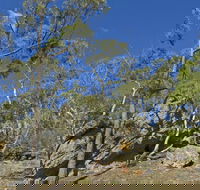 Green track - Hotel WA