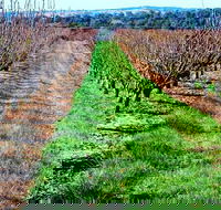 Hall Family Orchards - Hotel WA
