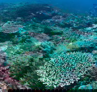 Hanging Rock Dive Site - Hotel WA