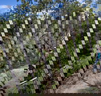 Herring Island Environmental Sculpture Park - Hotel WA
