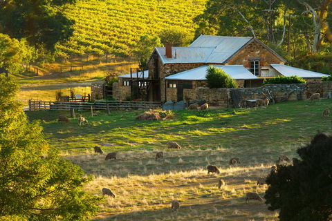 Hutton Vale Farm - Hotel WA 1