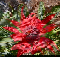 Inverawe Native Gardens - Hotel WA