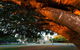 Jubilee Park, Mackay - thumb 0