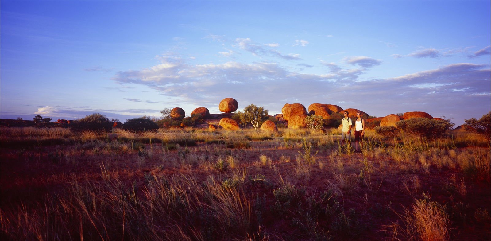  Hotel WA