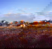 Karlu Karlu / Devils Marbles Conservation Reserve - Hotel WA