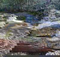 Liffey Falls Reserve - Hotel WA