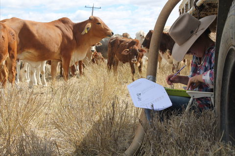 Longreach School Of Distance Education - Hotel WA 2