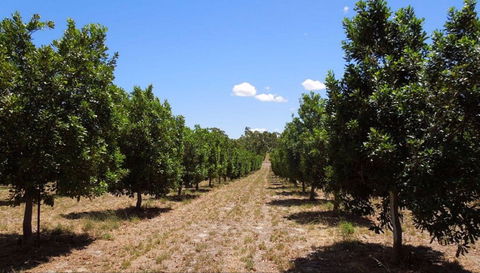 MacNuts WA Shop And Factory - Hotel WA 0
