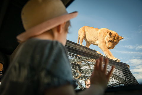 Monarto Safari Park - Hotel WA 2