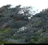 Mount Yarrowyck Nature Reserve - Hotel WA
